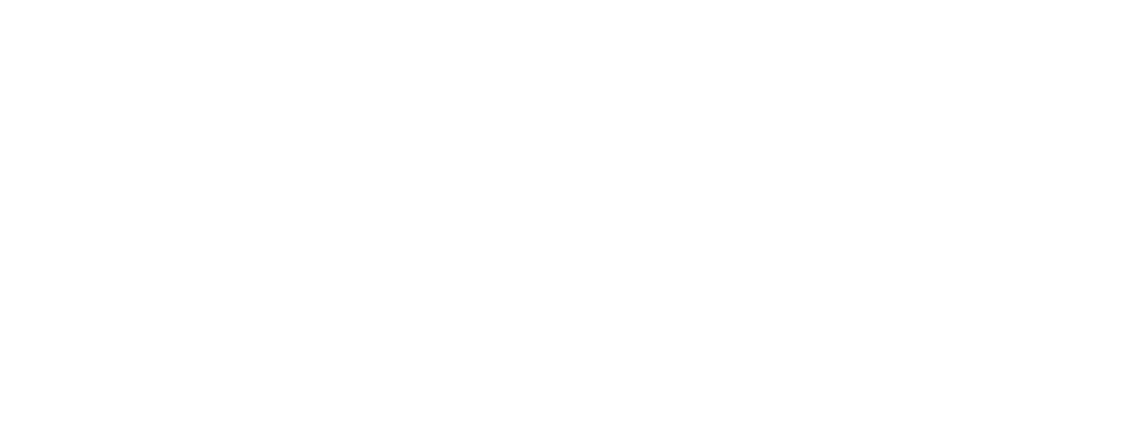 Logo Innofi blanc ligne
